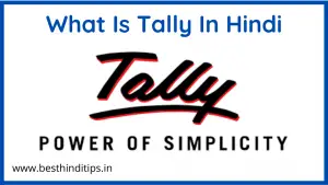 What is tally in hindi