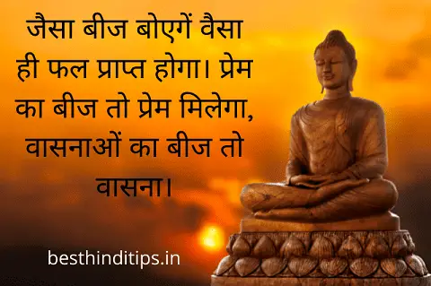 Lord buddha quotes hindi