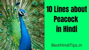 10 Lines about Peacock in Hindi | राष्ट्रीय पक्षी मोर पर 10 लाइन निबंध