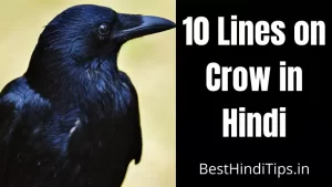 10 Lines on Crow in Hindi | 5 Lines on Crow in Hindi