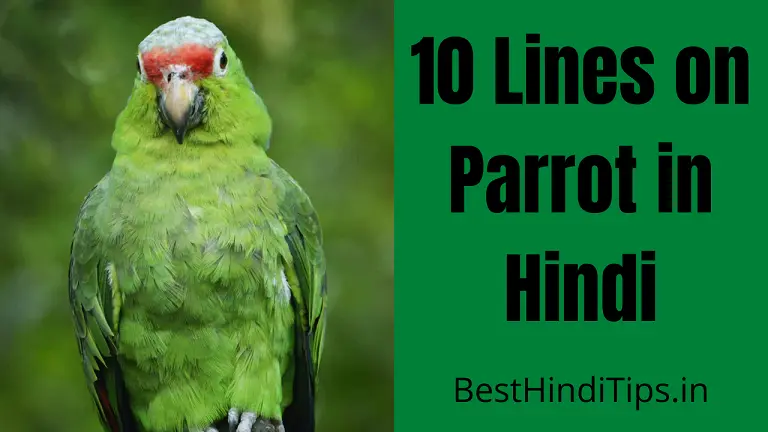 10 lines on parrot in hindi