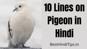 10 Lines on Pigeon in Hindi | कबूतर पर 10 वाक्य