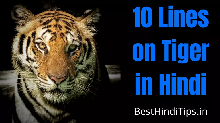 10 lines on tiger in hindi