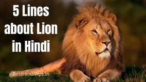 5 Lines about Lion in Hindi | शेर के बारे में 10 लाइन