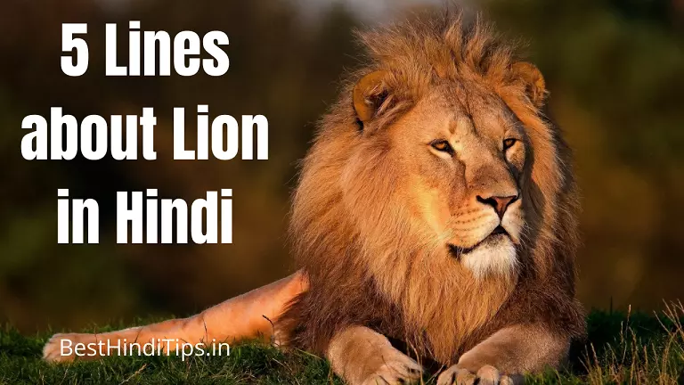 5 lines about lion in hindi