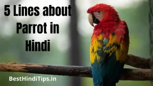 5 Lines about Parrot in Hindi | 10 Lines on Parrot in Hindi
