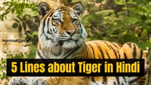 5 Lines About Tiger in Hindi | बाघ के बारे में 5 वाक्य हिंदी में