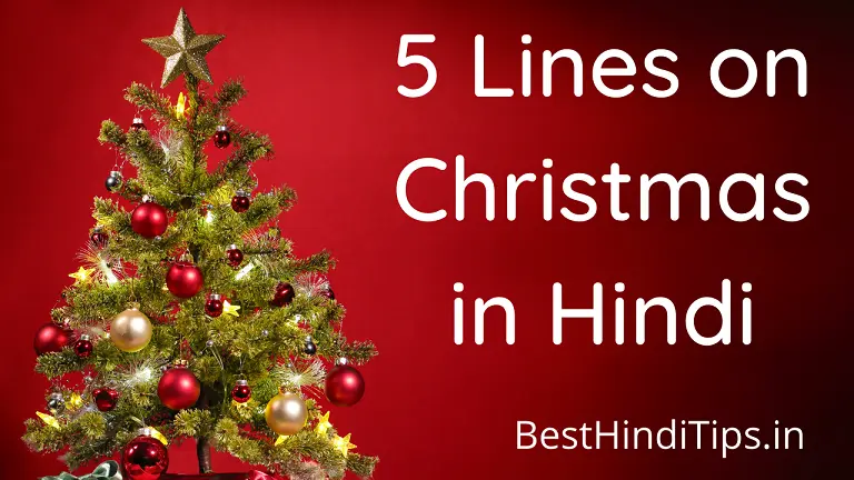 5 lines on christmas in hindi for class 3