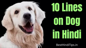 Dog Essay in Hindi 10 Lines | 10 Lines on Dog in Hindi