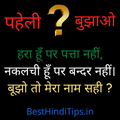 Funny paheliyan in hindi with answer