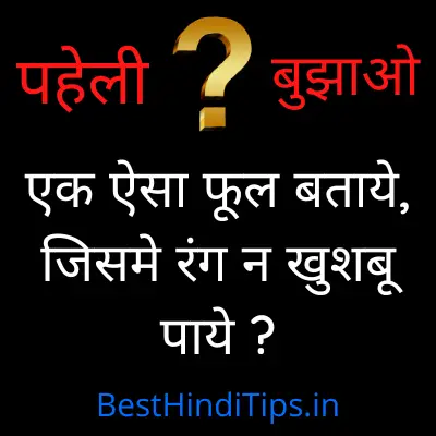 Saral hindi paheliyan with answers