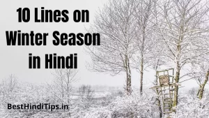 10 Lines on Winter Season in Hindi | शरद ऋतु पर 10 वाक्य