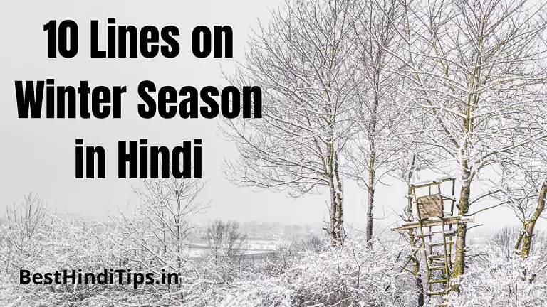 10 lines on winter season in hindi