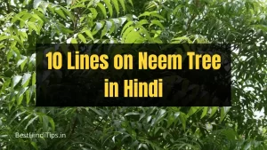 10 lines on neem tree in hindi