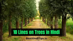 पेड़ पर 10 लाइन हिंदी में | Ped Ke Bare Mein 10 Line